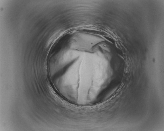 X0000075330002200609250958
