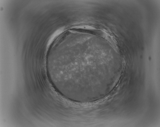 X0000075330006200609250958