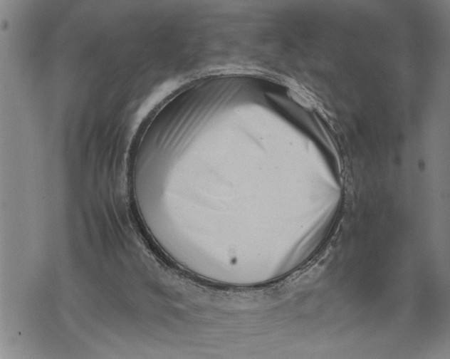 X0000075330008200609250958