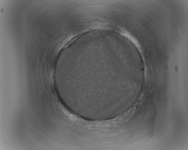 X0000075330009200609250958