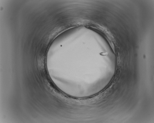 X0000075330010200609250958