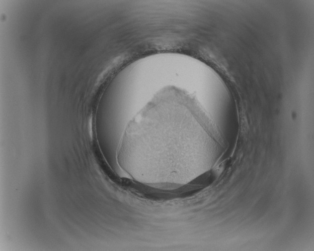 X0000075330019200609250958