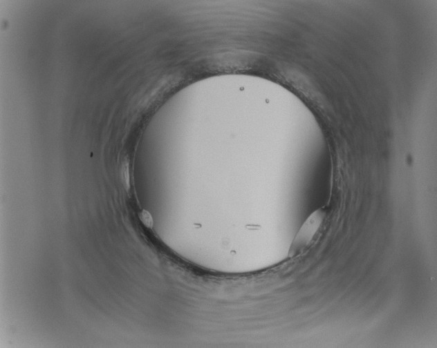 X0000075330021200609250958