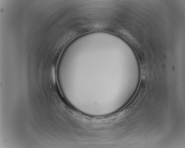 X0000075330022200609250958