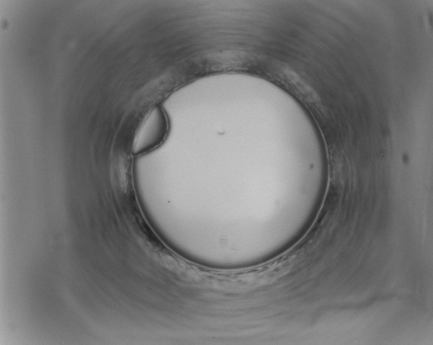 X0000075330026200609250958