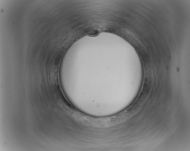 X0000075330030200609250958