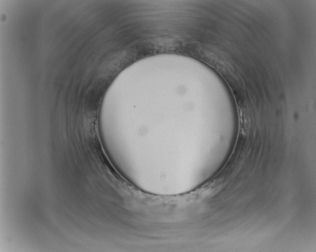 X0000075330034200609250958