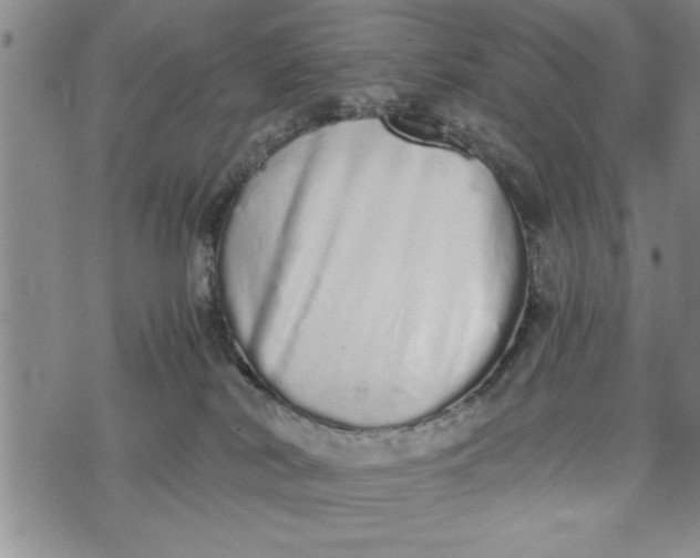 X0000075330038200609250958