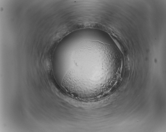 X0000075330039200609250958