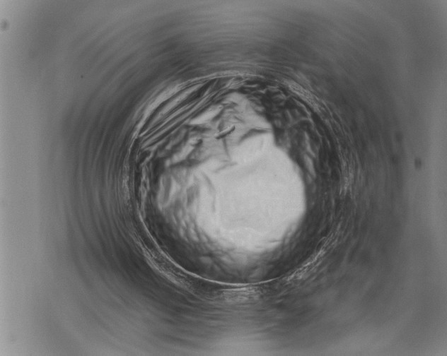 X0000075330050200609250957