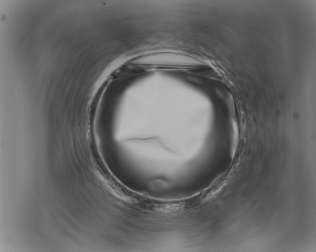 X0000075330056200609250957