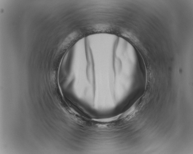 X0000075330066200609250957