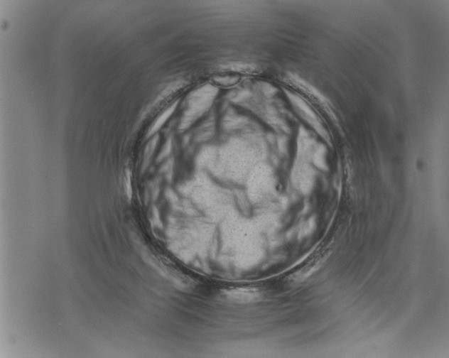 X0000075330067200609250957
