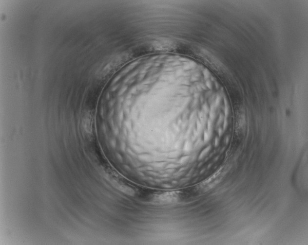X0000075330078200609250957