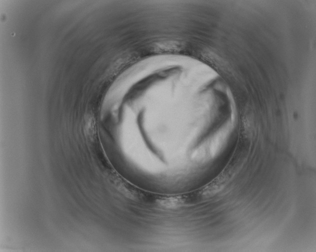 X0000075330079200609250957