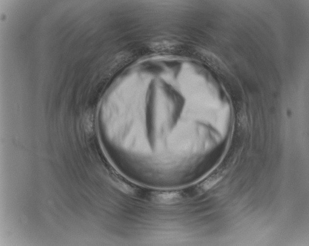 X0000075330081200609250957