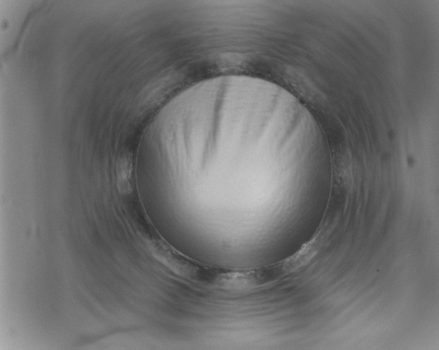 X0000075330082200609250957