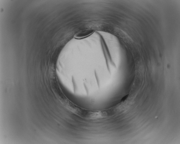 X0000075330083200609250957