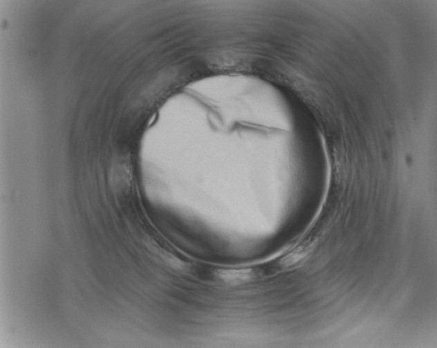 X0000075330085200609250957