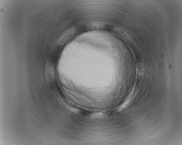 X0000075330086200609250957