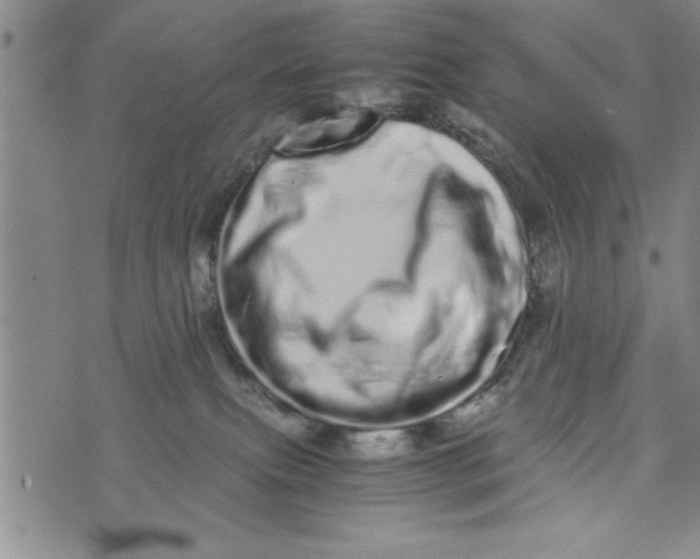 X0000075330087200609250957