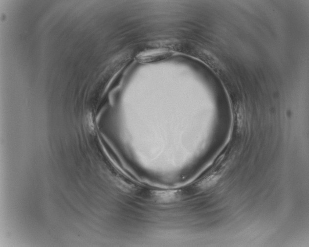 X0000075330089200609250957