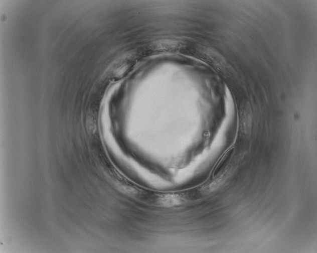 X0000075330091200609250958