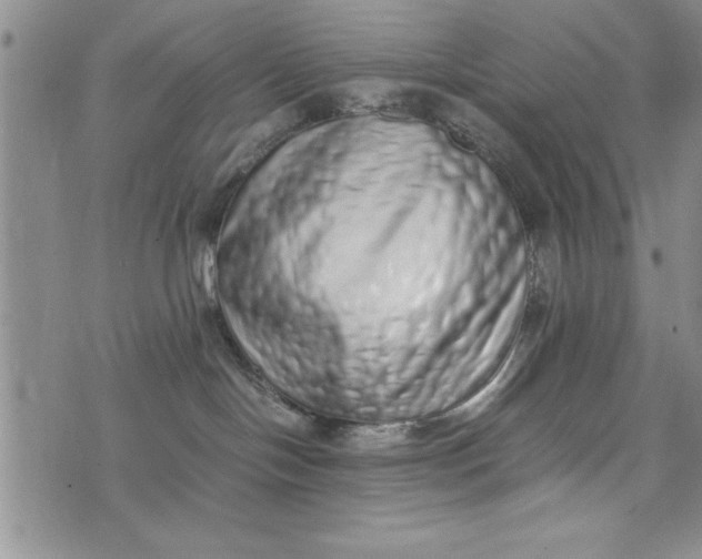 X0000075330094200609250958