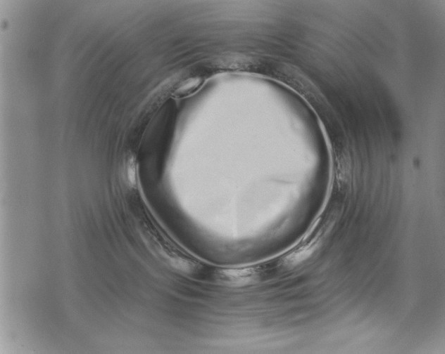 X0000075330095200609250958