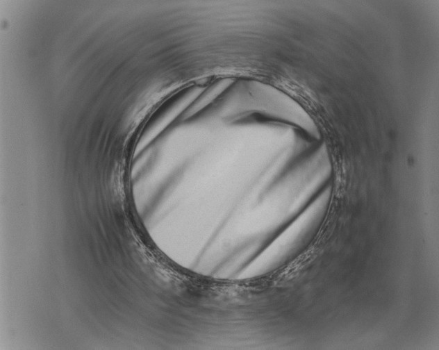 X0000075330098200609250957