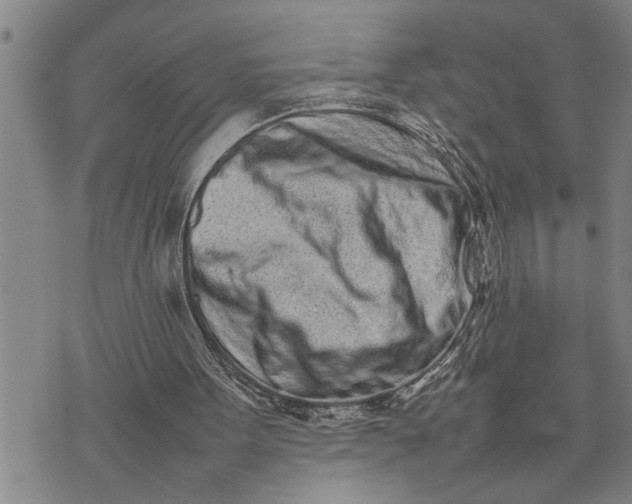 X0000075330099200609250957