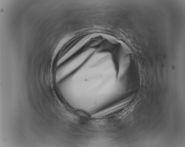 X0000075330102200609250957