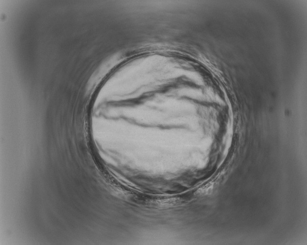 X0000075330103200609250957