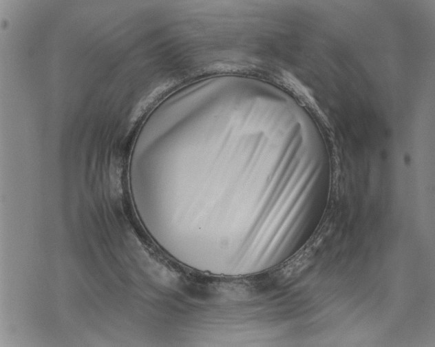 X0000075330106200609250957