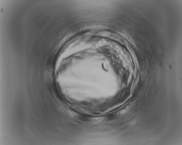 X0000075330111200609250957
