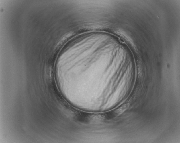 X0000075330115200609250957