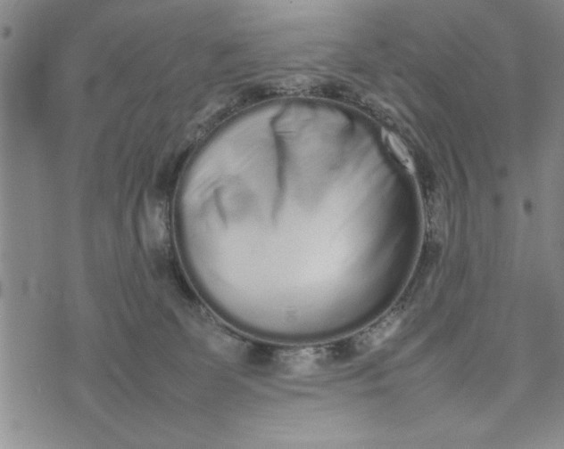 X0000075330131200609250956
