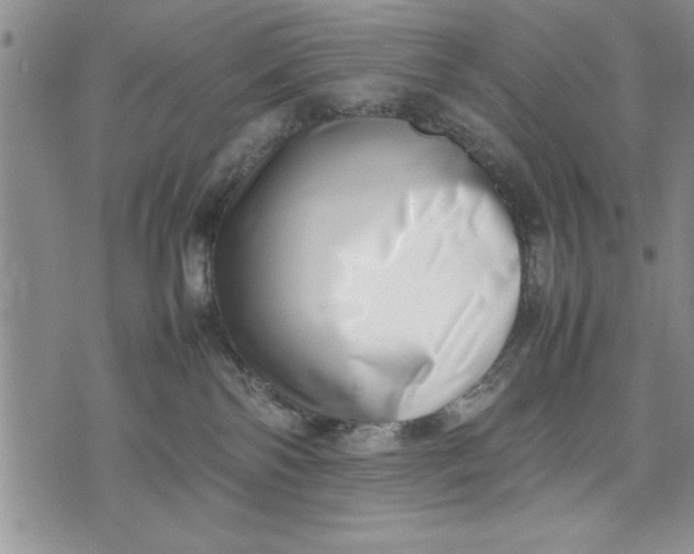 X0000075330138200609250956