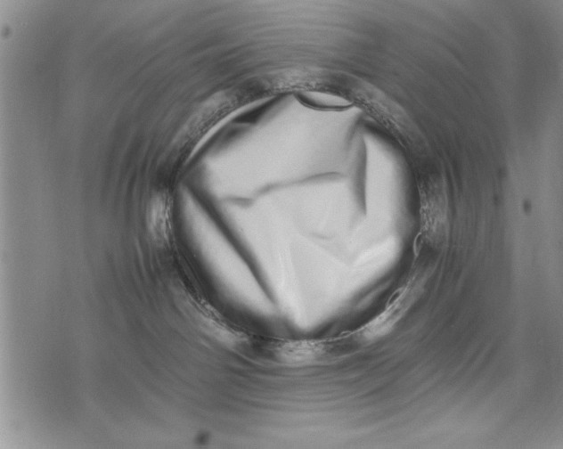 X0000075330142200609250956