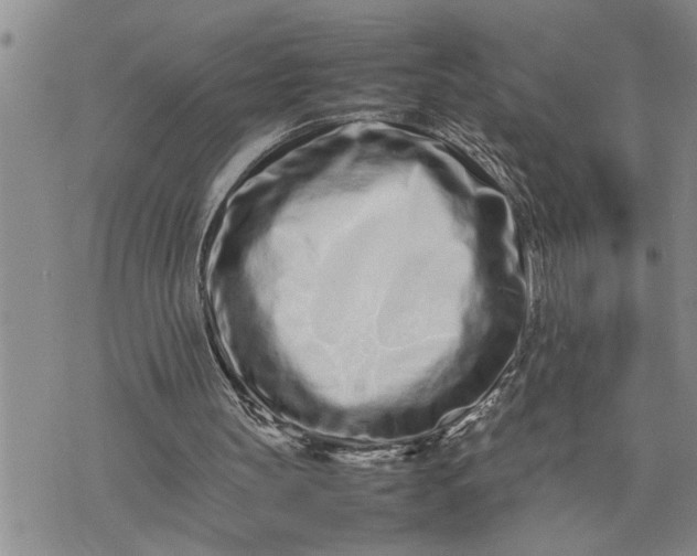 X0000075330147200609250955