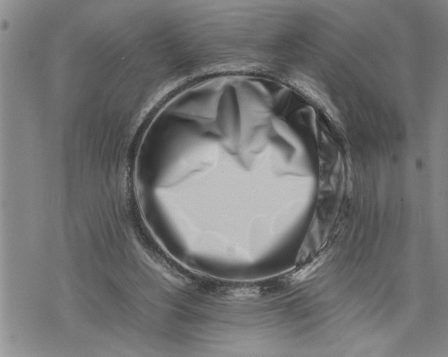 X0000075330156200609250955