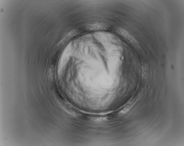 X0000075330165200609250956