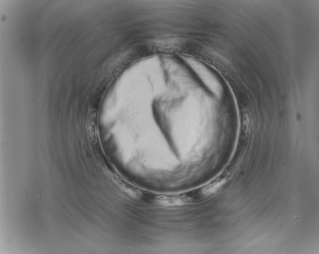 X0000075330181200609250956