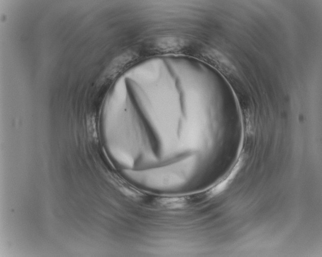 X0000075330182200609250956