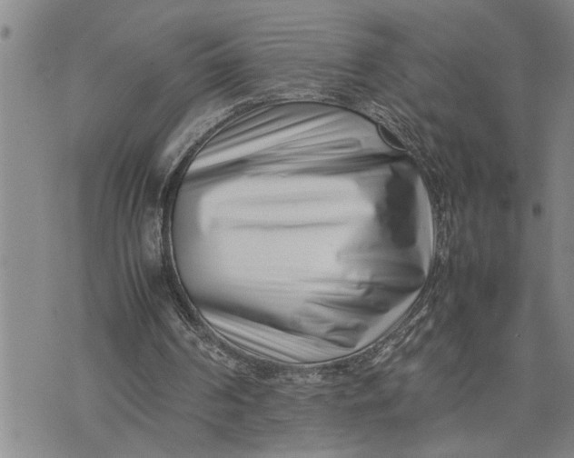 X0000075330194200609250955