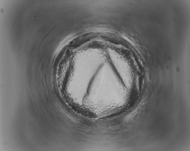 X0000075330199200609250955