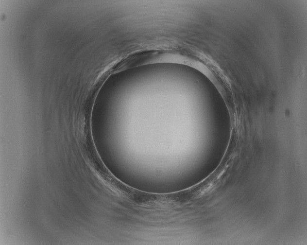 X0000075330201200609250955