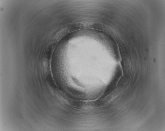 X0000075330222200609250955