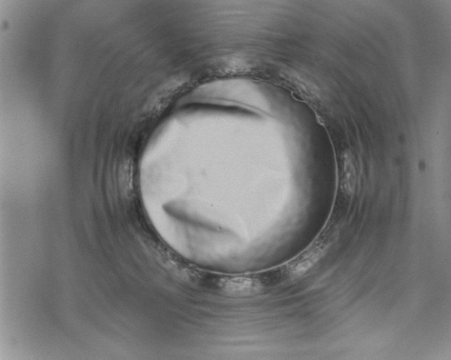 X0000075330230200609250955