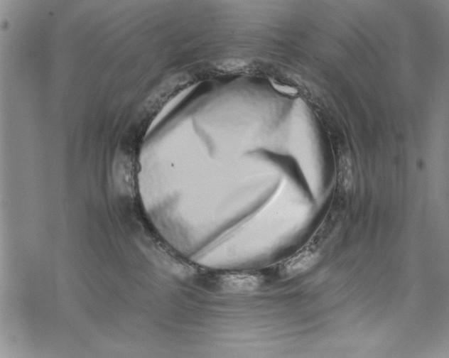 X0000075330234200609250955